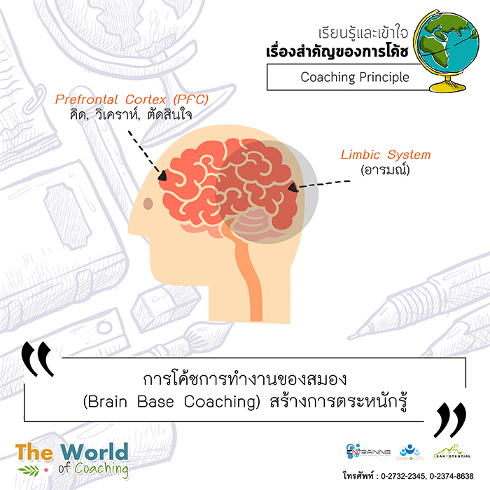 ศาสตร์การโค้ชที่ใช้การทำงานของสมองส่วนหน้า (PFC)